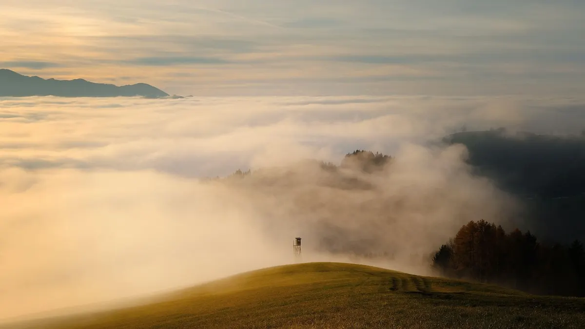 Radiation Fog Explained: Why Clear, Calm Nights Create Morning Murk
