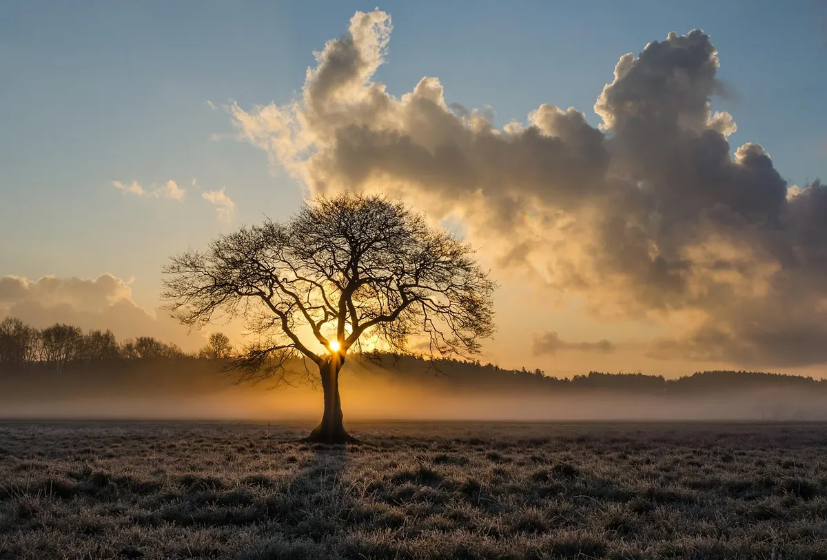 UK Fog Season: A Month-by-Month Guide to Misty Conditions
